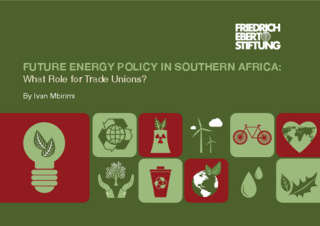 Future energy policy in Southern Africa